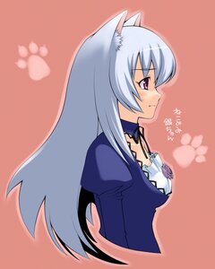 Rating: Safe Score: 0 Tags: 1girl animal_ears animal_hands arms_at_sides black_ribbon blue_dress blush breasts cat_ears collarbone detached_collar dress embarrassed eyebrows_visible_through_hair from_side frown image juliet_sleeves kamatori_pokari kemonomimi_mode long_hair long_sleeves orange_background outline puffy_sleeves purple_eyes purple_rise ribbon rozen_maiden silver_hair simple_background solo suigintou sweat translation_request upper_body very_long_hair User: admin