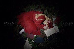 Rating: Safe Score: 0 Tags: 1girl blonde_hair box dress english_text flandre_scarlet flower grass in_box mary_janes plant red_dress shinku solo User: admin