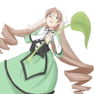Rating: Safe Score: 0 Tags: 1girl brown_hair dress drill_hair green_dress green_eyes hat heterochromia image long_hair long_sleeves open_mouth red_eyes solo suiseiseki twin_drills very_long_hair watering_can User: admin
