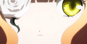 Rating: Safe Score: 0 Tags: flower hat image jack-o'-lantern kirakishou moon rose solo striped User: admin