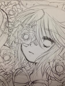 Rating: Safe Score: 0 Tags: 1girl flower image kirakishou monochrome parted_lips short_hair solo traditional_media User: admin