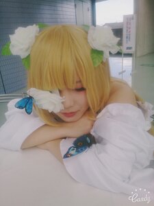 Rating: Safe Score: 0 Tags: 1girl artist_name bangs blonde_hair blue_butterfly bug butterfly butterfly_hair_ornament chin_rest closed_eyes closed_mouth flower hair_flower hair_ornament insect kirakishou lips photo realistic signature solo traditional_media white_dress User: admin