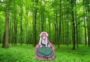 Rating: Safe Score: 0 Tags: 1girl :d blush day dress eyebrows_visible_through_hair flower green_dress image long_hair outdoors red_eyes shirt short_sleeves sleeveless sleeveless_dress smile solo suiseiseki very_long_hair User: admin