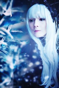 Rating: Safe Score: 0 Tags: 1girl bangs blunt_bangs blurry blurry_background blurry_foreground closed_mouth depth_of_field flower hair_ornament lips long_hair looking_at_viewer red_eyes solo suigintou white_hair User: admin