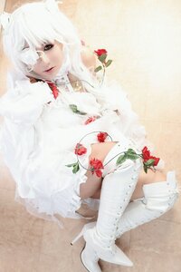 Rating: Safe Score: 0 Tags: animal_ears flower high_heels kirakishou lips looking_at_viewer photo red_flower sitting solo sweater white_hair User: admin