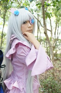 Rating: Safe Score: 0 Tags: 1girl animal_ears barasuishou blue_flower eyepatch flower hair_flower hair_ornament lips long_hair nature solo white_hair yellow_eyes User: admin