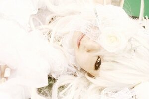 Rating: Safe Score: 0 Tags: 1girl animal_ears bangs blurry close-up closed_mouth face kirakishou lips looking_at_viewer portrait smile solo white_hair User: admin