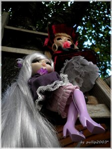 Rating: Safe Score: 0 Tags: 1girl boots doll dress flower frills gothic_lolita high_heels long_hair lying multiple_dolls rose silver_hair solo tagme User: admin