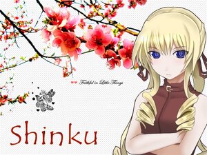 Rating: Safe Score: 0 Tags: 1girl blonde_hair blue_eyes blush drill_hair flower halftone halftone_background image long_hair polka_dot polka_dot_background red_flower shinku solo twin_drills User: admin