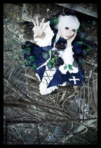 Rating: Safe Score: 0 Tags: 1girl black_border blue_flower blue_rose dress flower frills letterboxed long_hair looking_at_viewer pantyhose pillarboxed rose solo suigintou white_hair User: admin