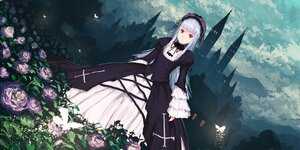 Rating: Safe Score: 0 Tags: 1girl bird black_dress black_ribbon bug butterfly castle commentary_request dress field flower flower_field frills gothic_lolita hairband highres holding image insect jean_popo lolita_fashion long_hair long_sleeves looking_at_viewer photoshop_(medium) pink_flower pink_rose purple_flower purple_rose red_eyes rose rozen_maiden silver_hair solo standing suigintou white_flower white_rose wide_sleeves User: admin