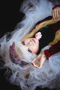 Rating: Safe Score: 0 Tags: 1girl blonde_hair blue_eyes closed_mouth flower lips long_hair long_sleeves looking_at_viewer shinku solo upper_body veil User: admin
