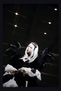 Rating: Safe Score: 0 Tags: 1girl blood dress flower long_hair pale_skin solo suigintou User: admin