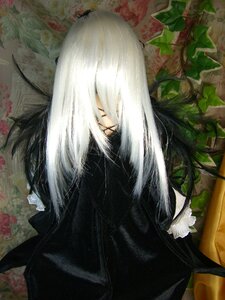 Rating: Safe Score: 0 Tags: 1boy black_coat closed_eyes doll flower leaf long_hair plant solo suigintou upper_body white_hair User: admin