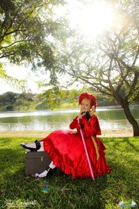 Rating: Safe Score: 0 Tags: 1girl blonde_hair bonnet dress flower grass nature outdoors red_dress shinku solo tree User: admin