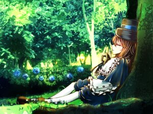 Rating: Safe Score: 0 Tags: 1girl barefoot blue_flower blue_rose brown_hair capelet closed_eyes flower hat image nature ribbon rose short_hair shorts sitting solo souseiseki sunlight tree User: admin