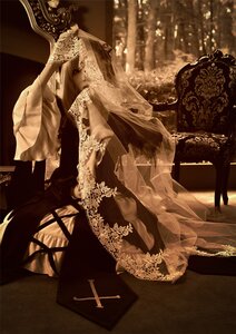 Rating: Safe Score: 0 Tags: 1girl dress gloves indoors jewelry lace long_hair sitting solo suigintou veil white_dress User: admin