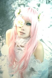 Rating: Safe Score: 0 Tags: 1girl bangs bare_shoulders blue_eyes dress flower kirakishou lips long_hair megurine_luka pink_hair solo upper_body white_flower User: admin