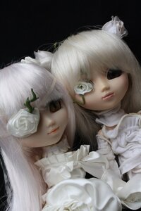 Rating: Safe Score: 0 Tags: 2girls bangs black_background blunt_bangs brown_eyes closed_mouth doll flower kirakishou lips long_hair looking_at_viewer multiple_girls rose siblings sisters smile solo white_flower white_hair white_rose white_theme User: admin