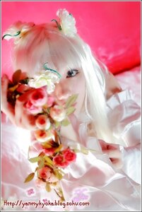 Rating: Safe Score: 0 Tags: 1girl blue_eyes blurry bouquet depth_of_field flower kirakishou letterboxed lips rose solo white_flower white_rose User: admin