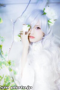 Rating: Safe Score: 0 Tags: 1girl bangs blurry blurry_background blurry_foreground closed_mouth depth_of_field flower kirakishou leaf lips long_hair looking_at_viewer plant solo vines watermark white_hair User: admin
