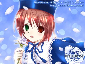 Rating: Safe Score: 0 Tags: 1girl blue_background blue_dress blush brown_hair dress flower frills green_eyes hat heterochromia holding holding_flower image long_sleeves looking_at_viewer open_mouth petals red_eyes ribbon rose short_hair smile solo souseiseki suiseiseki white_flower white_rose User: admin