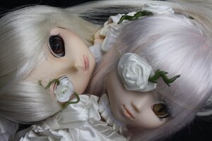 Rating: Safe Score: 0 Tags: 2girls albino bangs closed_mouth doll face flower kirakishou lips long_hair looking_at_viewer multiple_girls red_eyes rose sisters solo white_flower white_hair white_rose User: admin