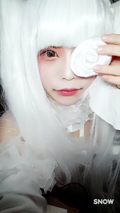 Rating: Safe Score: 0 Tags: 1girl artist_name bangs closed_mouth eyelashes flower kirakishou lips looking_at_viewer rose solo white_flower white_hair white_rose User: admin