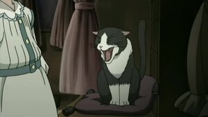 Rating: Safe Score: 0 Tags: bed cat curtains human indoors sarah screenshot sitting solo User: admin