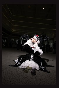 Rating: Safe Score: 0 Tags: 1girl flower gloves pale_skin solo suigintou User: admin