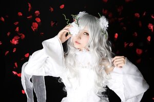 Rating: Safe Score: 0 Tags: 1girl black_background flower kirakishou lips long_hair long_sleeves looking_at_viewer petals rose_petals solo sweater upper_body white_hair User: admin