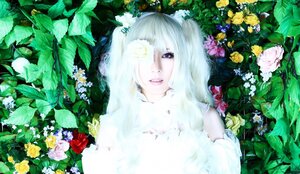 Rating: Safe Score: 0 Tags: 1girl flower kirakishou long_hair plant rose solo white_flower white_hair white_rose yellow_flower User: admin