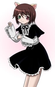 Rating: Safe Score: 0 Tags: 1girl animal_ears blush brown_hair capelet cat_ears dress frills gradient gradient_background green_eyes heterochromia image long_sleeves looking_at_viewer pantyhose red_eyes rozen_maiden short_hair smile solo souseiseki striped takumi_(rozen_garten) User: admin