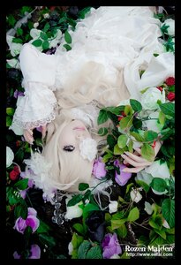 Rating: Safe Score: 0 Tags: 1girl artist_name blonde_hair blue_eyes flower kirakishou leaf letterboxed lips long_hair plant solo upper_body web_address User: admin
