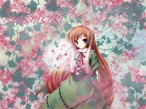 Rating: Safe Score: 0 Tags: 1girl brown_hair cherry_blossoms dress flower frills green_dress hat heterochromia image long_hair long_sleeves looking_at_viewer red_eyes ribbon solo suiseiseki very_long_hair User: admin