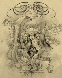 Rating: Safe Score: 0 Tags: 2girls cat_ears chen closed_eyes flower hat image monochrome multiple_girls pair saigyouji_yuyuko short_hair souseiseki suiseiseki yakumo_ran User: admin