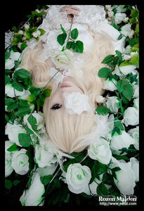 Rating: Safe Score: 0 Tags: 1girl blonde_hair face flower kirakishou leaf letterboxed lips long_hair plant rose solo white_flower white_hair white_rose User: admin