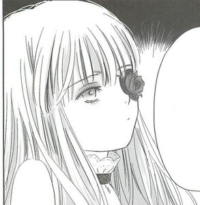 Rating: Safe Score: 0 Tags: 1girl bangs barasuishou collar eyebrows_visible_through_hair flower greyscale image long_hair mole mole_under_eye monochrome rose solo User: admin