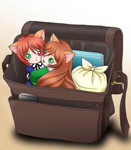 Rating: Safe Score: 0 Tags: 2girls animal_ears brown_hair cat_ears commentary_request green_eyes heterochromia image in_box in_container long_hair multiple_girls pair photoshop_(medium) red_eyes rozen_maiden sakamoto_arata school_uniform siblings sisters souseiseki suiseiseki tail twins User: admin