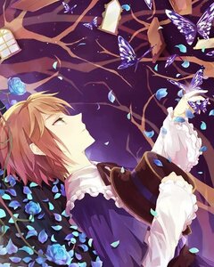 Rating: Safe Score: 0 Tags: 1boy blue_butterfly blue_flower blue_rose bug butterfly flower frills green_eyes image insect lying petals profile rose short_hair solo souseiseki yellow_rose User: admin