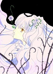 Rating: Safe Score: 0 Tags: 1girl flower image kirakishou long_hair profile rose solo User: admin
