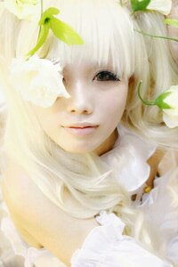 Rating: Safe Score: 0 Tags: 1girl bangs bare_shoulders blurry closed_mouth flower hair_ornament kirakishou leaf lips looking_at_viewer one_eye_covered portrait smile solo white_flower white_hair User: admin