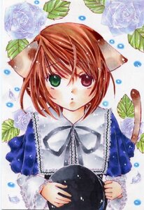 Rating: Safe Score: 0 Tags: 1girl animal_ears blue_flower cat_ears flower green_eyes hat heterochromia holding leaf long_sleeves plant rain rose short_hair solo souseiseki water_drop watering_can User: admin