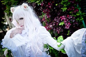 Rating: Safe Score: 0 Tags: 1girl animal animal_ears dress flower frills kirakishou long_hair long_sleeves see-through solo white_hair User: admin