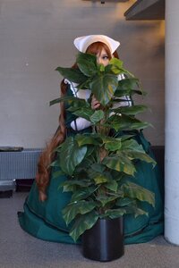 Rating: Safe Score: 0 Tags: blue_eyes brown_hair holding hood_up plant potted_plant solo suiseiseki User: admin