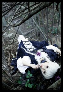 Rating: Safe Score: 0 Tags: 1girl black_border dress flower gothic_lolita letterboxed lolita_fashion pillarboxed rose solo suigintou white_hair windowboxed User: admin