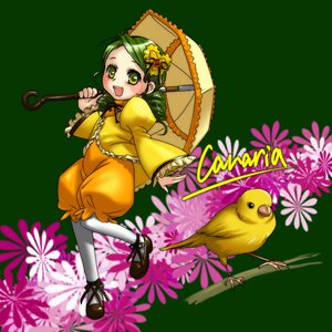 Rating: Safe Score: 0 Tags: 1girl blush dress flower frills full_body green_hair hair_ornament holding holding_umbrella image kanaria long_sleeves open_mouth pantyhose parasol personification smile solo umbrella white_legwear yellow_eyes User: admin