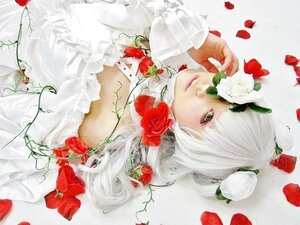 Rating: Safe Score: 0 Tags: 1girl camellia dress flower frills kirakishou lips petals red_flower red_rose rose rose_petals solo thorns upper_body white_flower white_hair User: admin