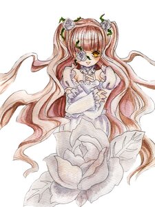 Rating: Safe Score: 0 Tags: 1girl 2girls double_bun dress eyepatch flower hair_flower hair_ornament image kirakishou long_hair multiple_girls pink_hair rose smile solo striped thorns traditional_media two_side_up very_long_hair vines white_flower yellow_eyes User: admin