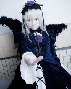 Rating: Safe Score: 0 Tags: 1girl black_dress chain-link_fence dress fence flower gothic_lolita lolita_fashion long_hair long_sleeves looking_at_viewer rose silver_hair smile solo suigintou User: admin